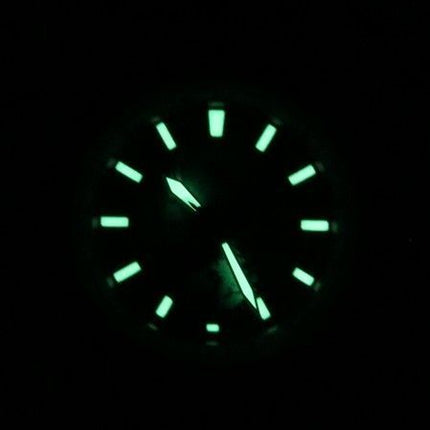 Citizen Promaster Geo Trekker Rostfritt stål Grå Urtavla Eco-Drive BY3006-53H 200M Pilotklocka för män