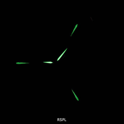 Hamilton Ventura XXL automatisk H24655331 mäns klocka