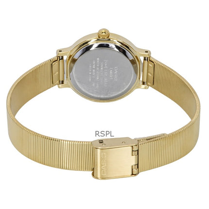 Casio Standard Analog Gold Tone Rostfritt stål Brun Urtavla Quartz LTP-B170G-5BV Damklocka