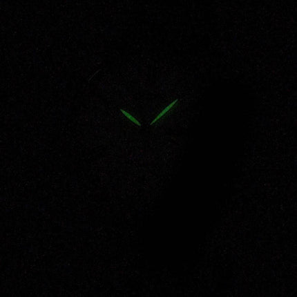 mäns klockor från Citizen automatisk NH8350-59A