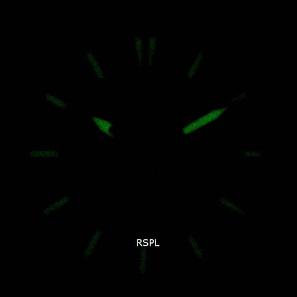 Orient Defender RA-AK0405Y10B Automatisk herrklocka