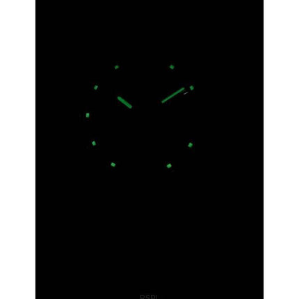 Renoverad Seiko 5 Automatic 21 Juveler SNK393 SNK393K1 SNK393K Herrklocka